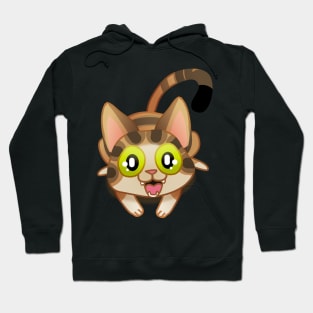 Gilbert the kitten nya! Hoodie